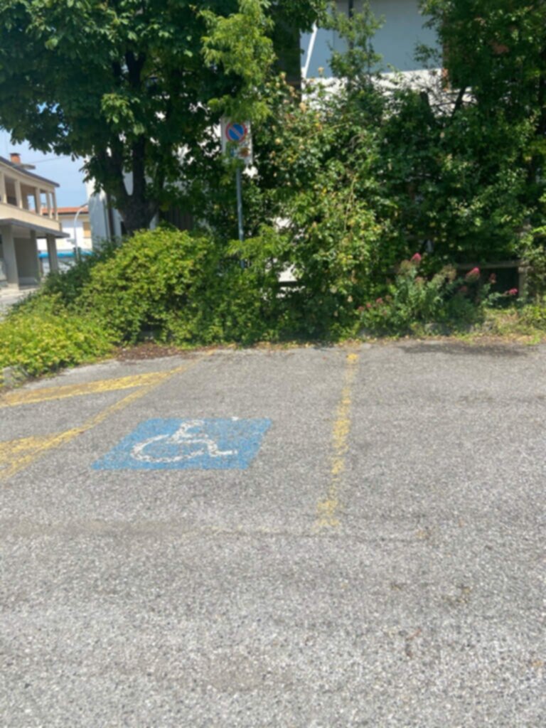 PARCHEGGIO DISABILI PUBBLICO