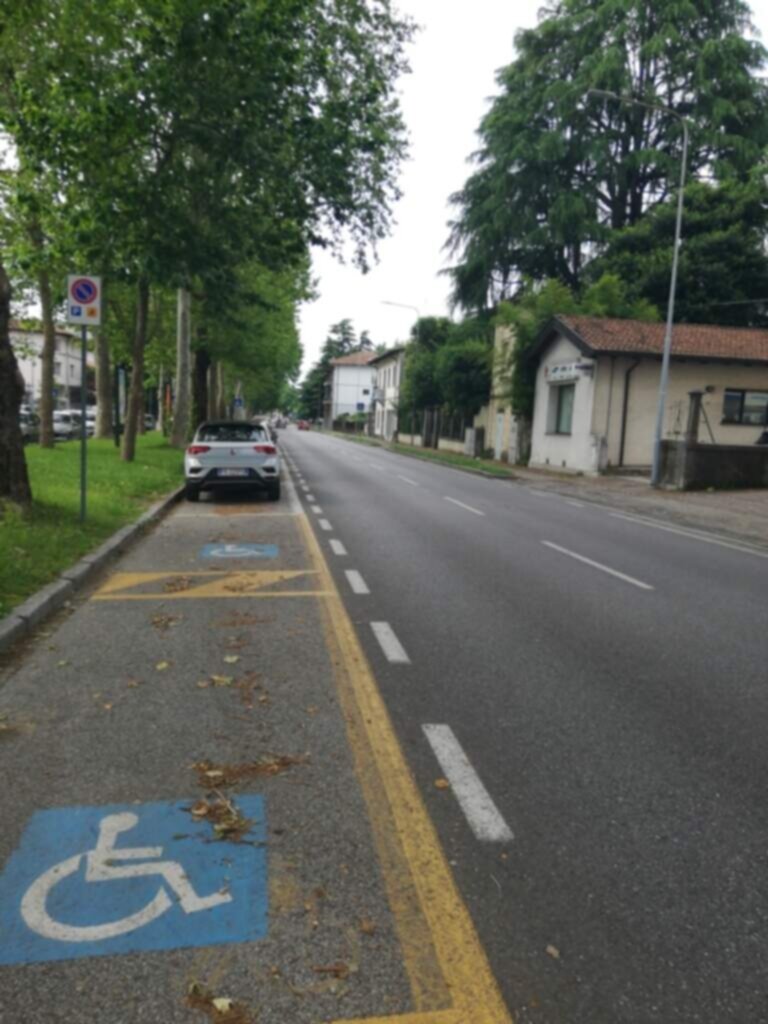 PARCHEGGIO DISABILI Pubblico viale Trieste