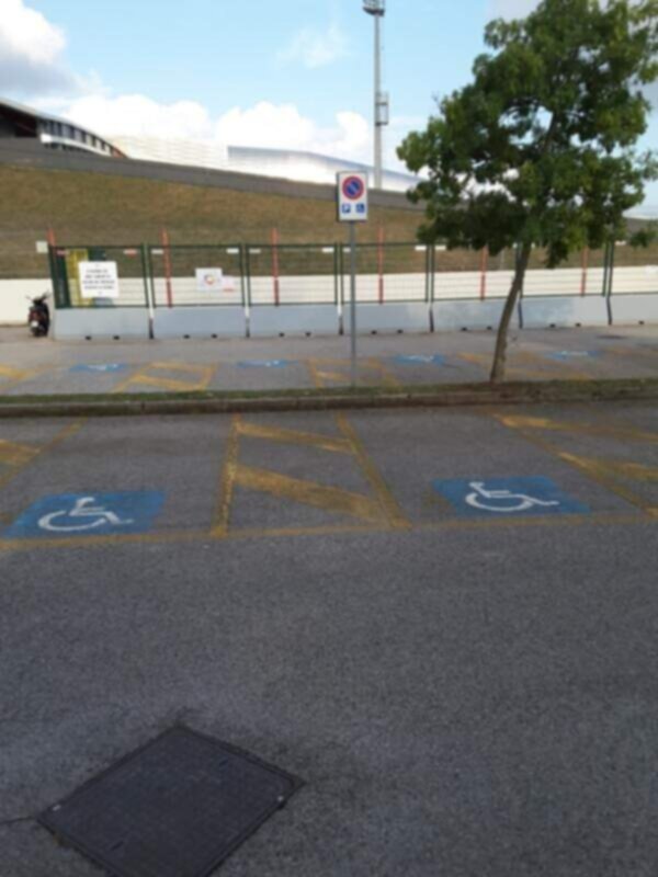 PARCHEGGIO DISABILI PUBBLICO stadio Udine