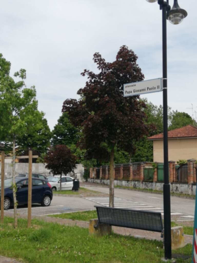 PARCHEGGIO DISABILI Pubblico Piazzale papa Giovanni Paolo II