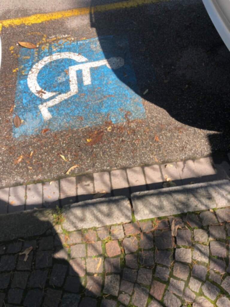 PARCHEGGIO DISABILI PUBBLICO viale venezia1