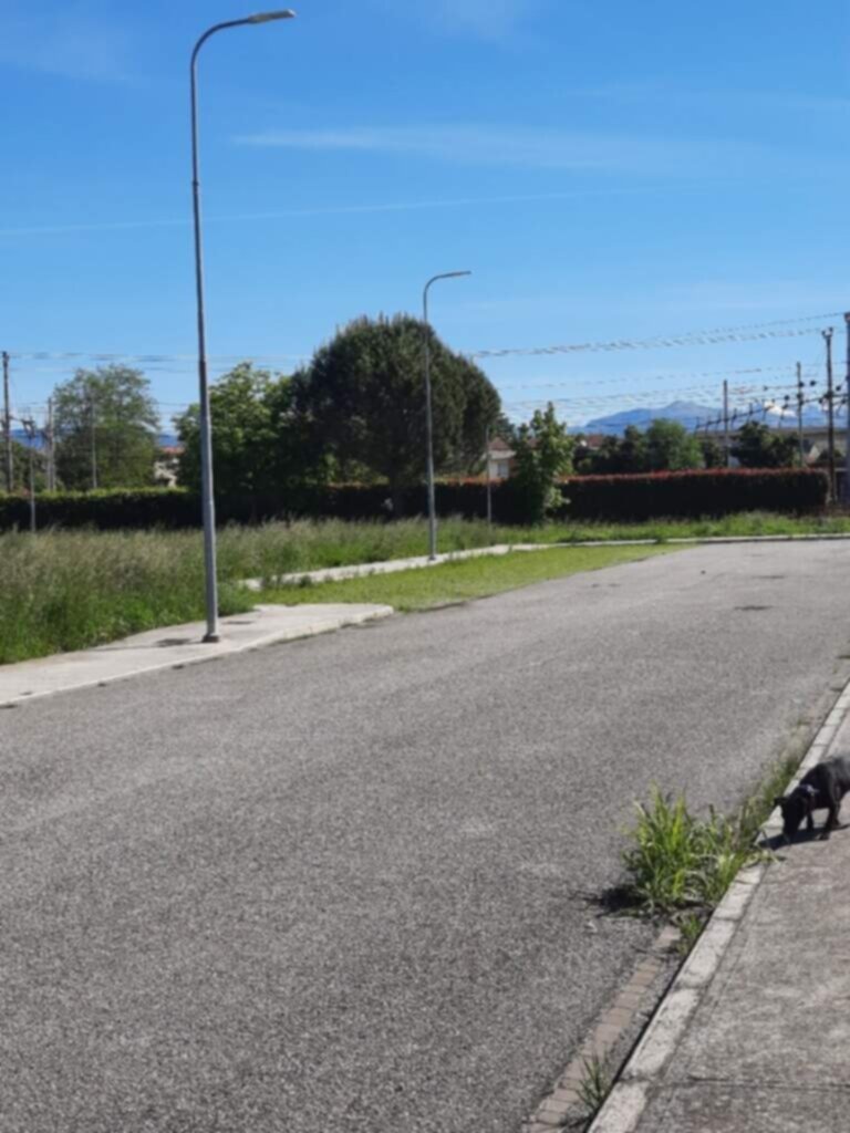 PARCHEGGIO DISABILI PUBBLICO