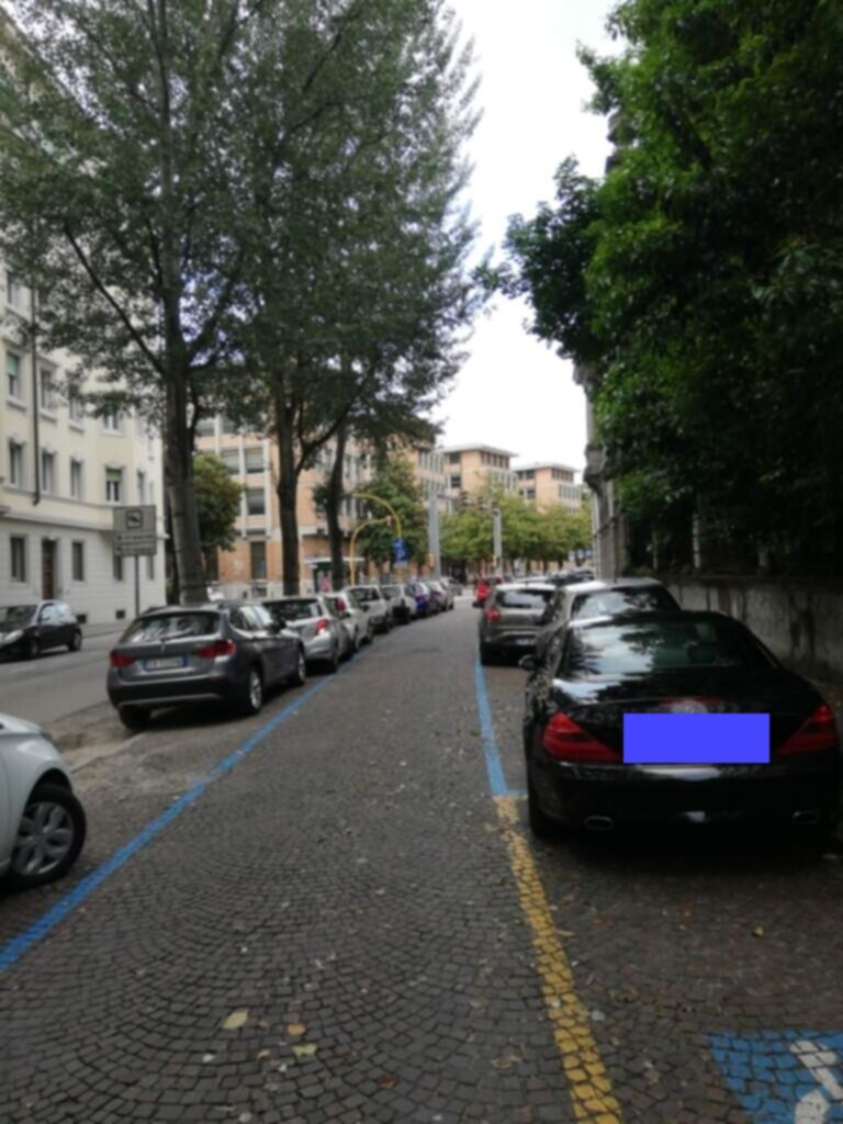 PARCHEGGIO DISABILI Pubblico via gorghi